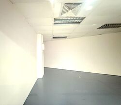 Cuppage Plaza (D9), Shop House #558395031